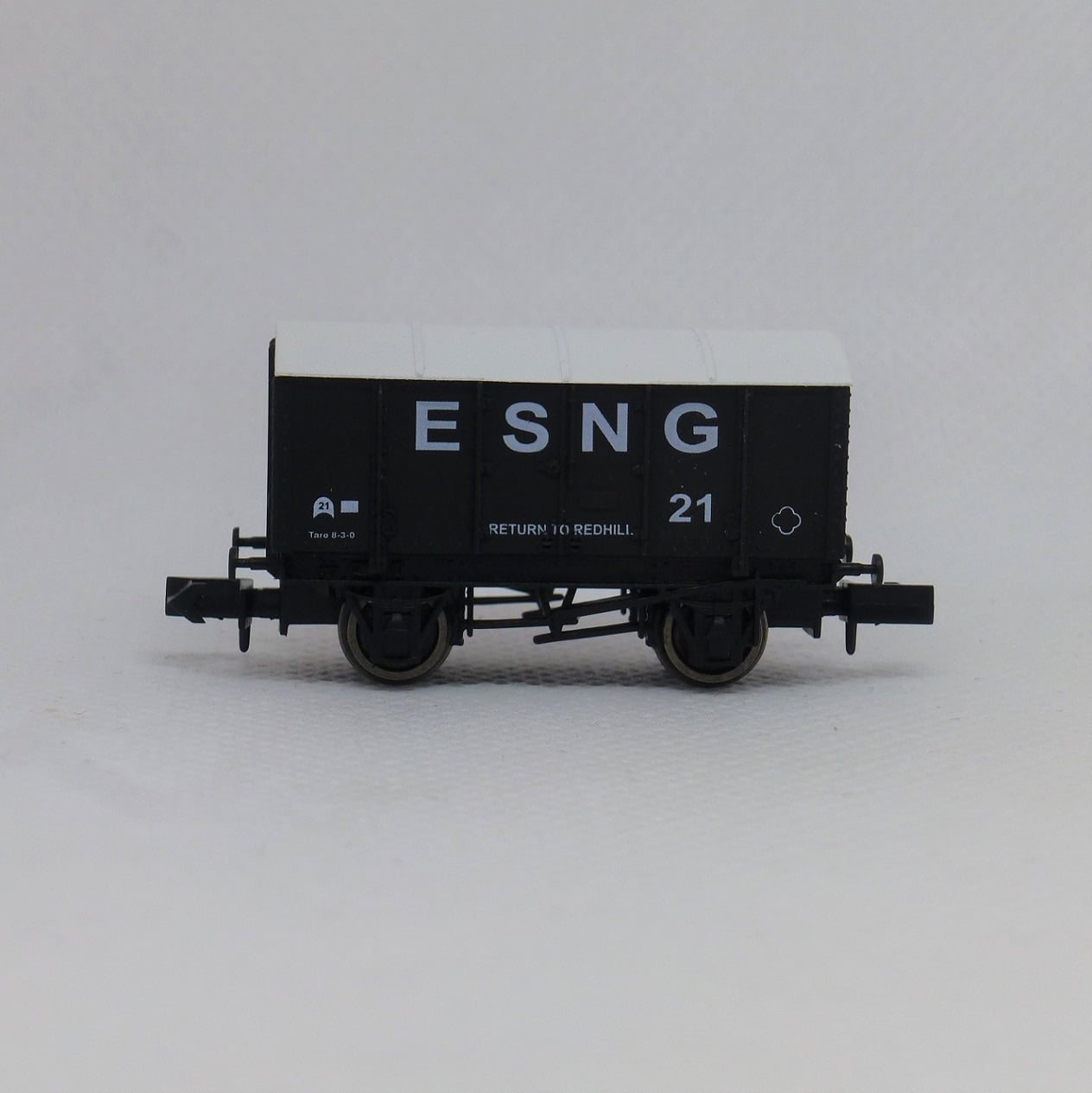 ESNG-1.jpg