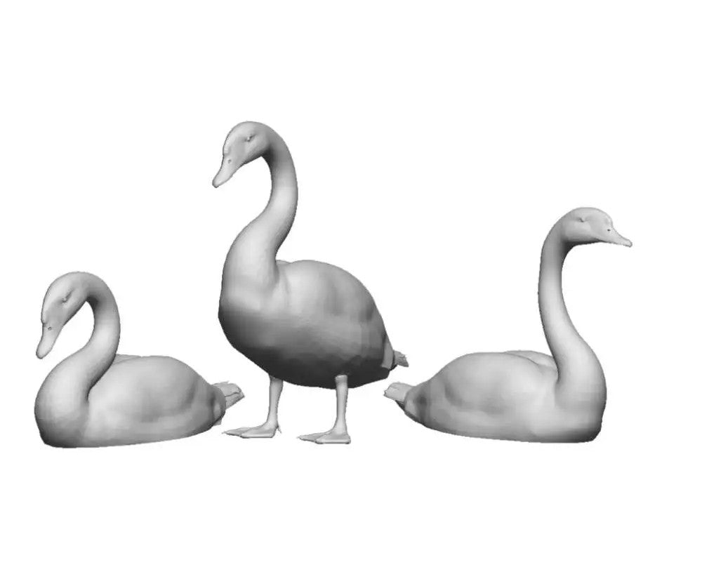 Swans