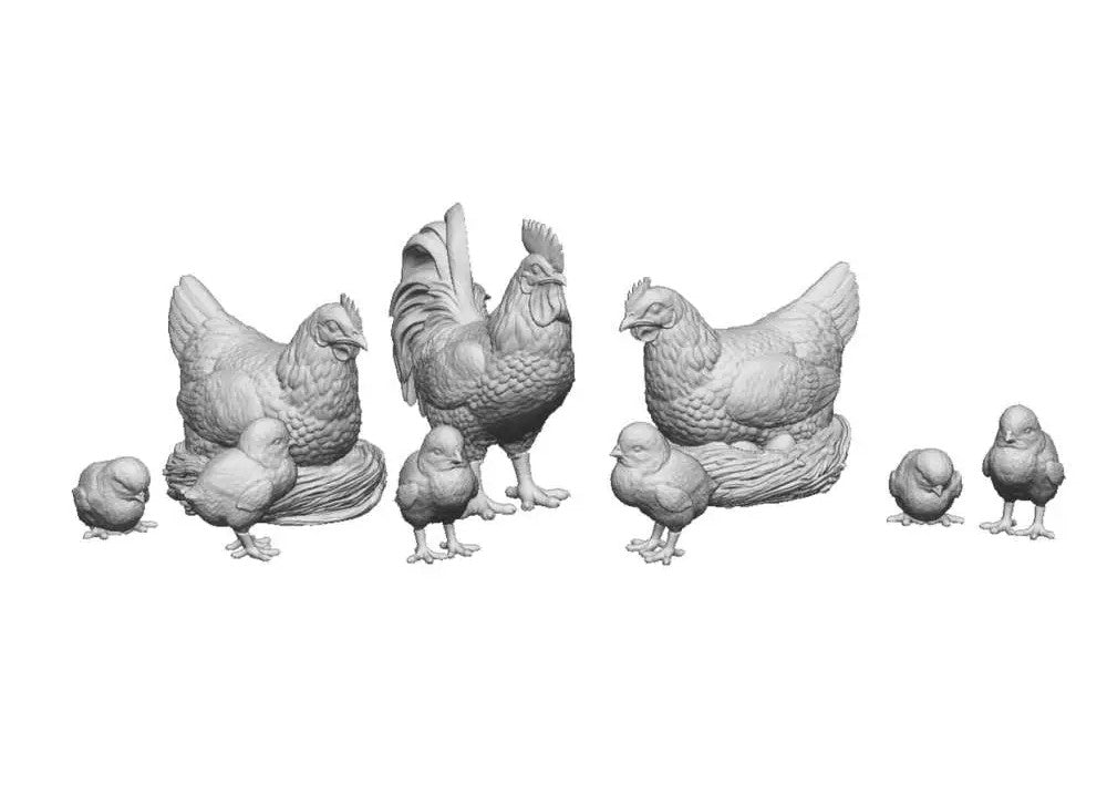 Cockerel, Hens & Chicks